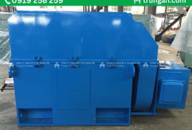 Động cơ điện không đồng bộ ba pha - Electric Motor