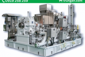 Tuabin hơi nước Triveni (STEAM TURBINE)